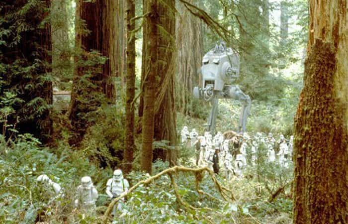 Lugares para fans de Star Wars Lugares para fans de Star Wars | Parque Nacional Redwood