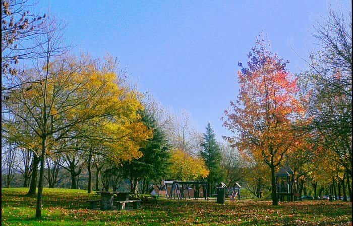 Monte de Artxanda en Bilbao