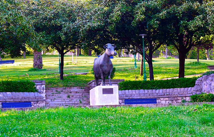 Parque Doctor Morales en Santander