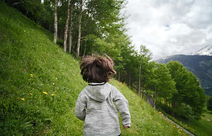 bosques para disfrutar