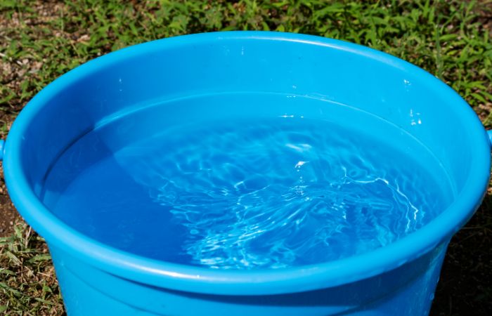 Juegos de agua fresquitos: lanzar zapatillas a un cubo lleno de agua zapatos al agua