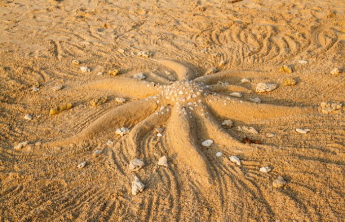 Escultura en la arena Juegos en la playa con la arena: adivina mi escultura