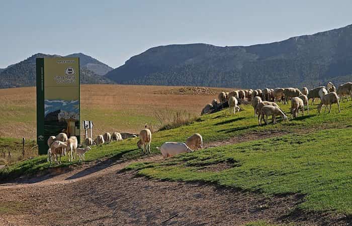 Monumento Natural Sabina Albar en Almería