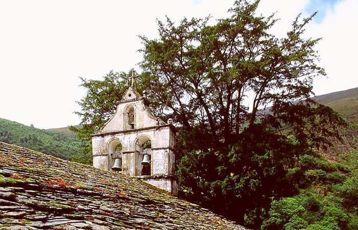 Monumento Natural Tejo de Pastur en Illano, Asturias