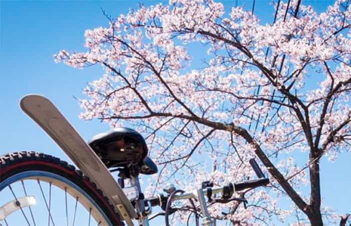 Ruta primaveral en bici para ver los almendros y los cerezos en flor Planes con niños: Ruta primaveral en bici
