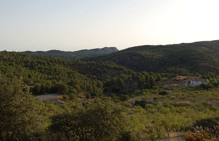 Sendero Botánico del Reconco en Biar, Alicante