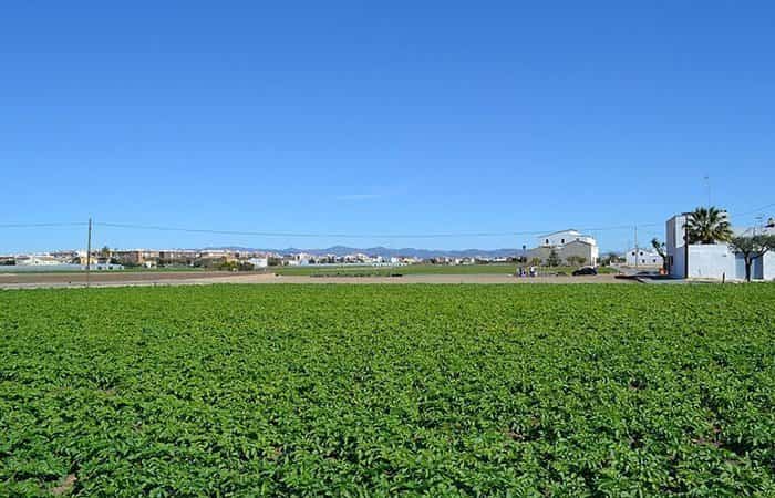 Camino del Gaiato en Alboraya, Valencia