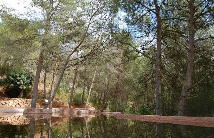 Arboretum de Náquera en Valencia