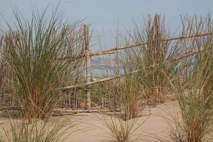 Parque litoral