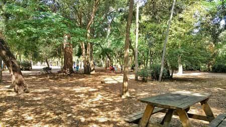 Parque de Sa Riera