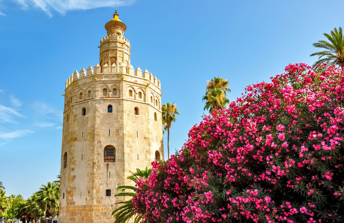 Torre del oro, en Sevilla, entre flores y palmeras Torre del oro