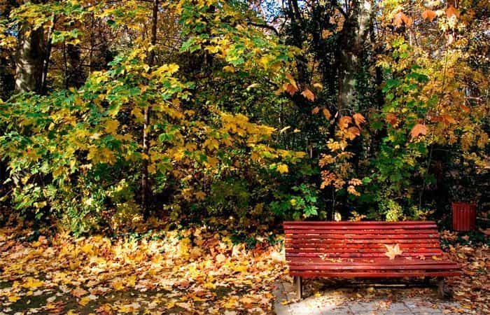 Parque Campo Grande en Valladolid