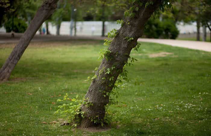 Parque Bruil en Zaragoza