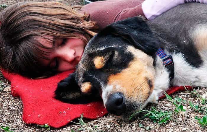 Consejos para que los niños afronten la muerte de su mascota