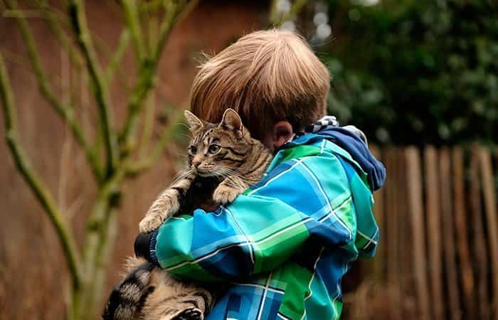 consejos para los niños afronten la muerte de su mascota
