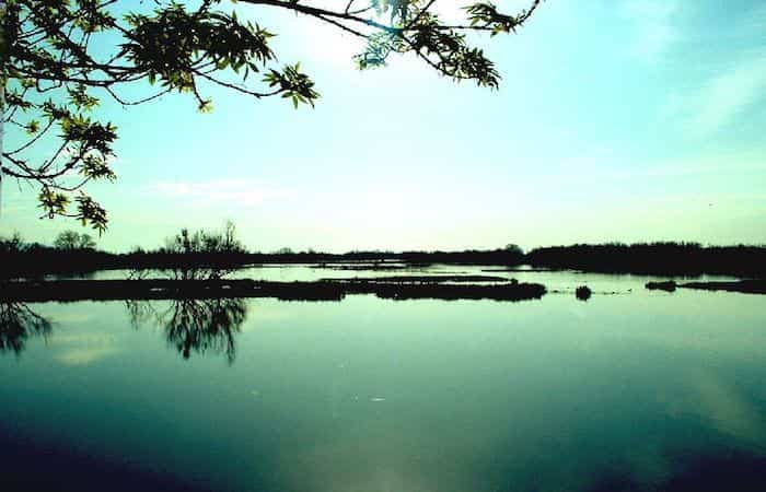 Parque Natural de las Marismas del Ampurdán en Girona