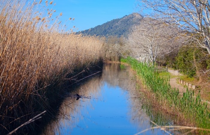 Parque Natural de S’Albufera de Mallorca
