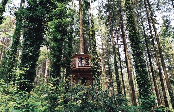 Dormir en lo alto de un árbol es posible en Sant Hilari Sacalm, en Girona Cabans als arbres, Cataluña: casa en un árbol