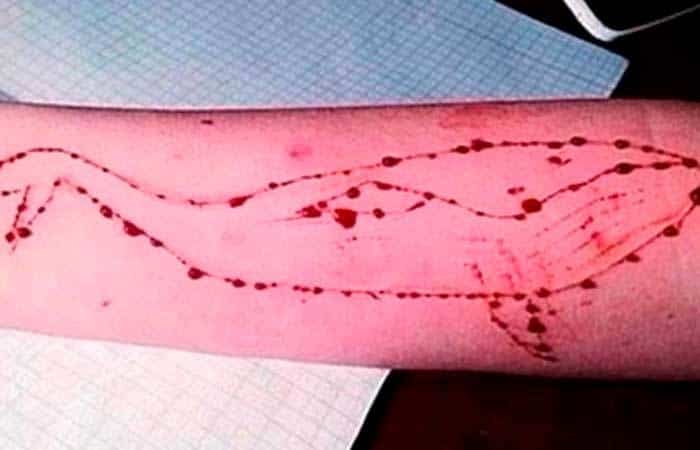 el peligroso juego de la ballena azul