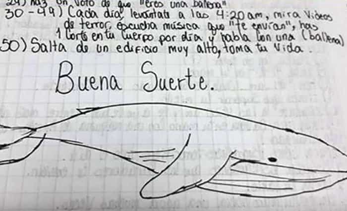 ¿Qué se esconde tras el peligroso juego suicida de la Ballena Azul? Juego de la Ballena Azul