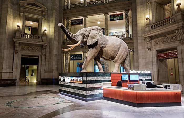 Sala del Museo de Historia Natural de Washington Museo de Historia Natural de Washington, Estados Unidos