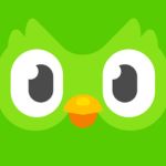 Herramientas para aprender inglés Duolingo