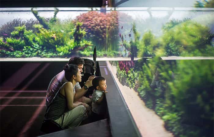 lisboa-con-ninos-acuario-oceanografico Lisboa con niños, Acuario oceanográfico