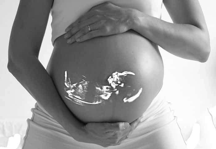 Buscando la fertilidad