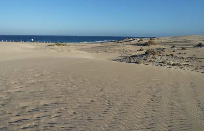 Dunas de corralejo