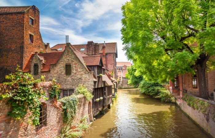 Brujas Brujas