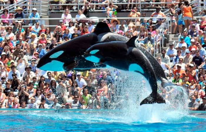 california-con-ninos-san-diego-seaworld California con niños, Seaworld San Diego
