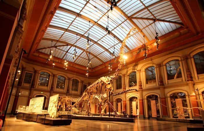 Museo de Historia Natural Museo de Historia Natural