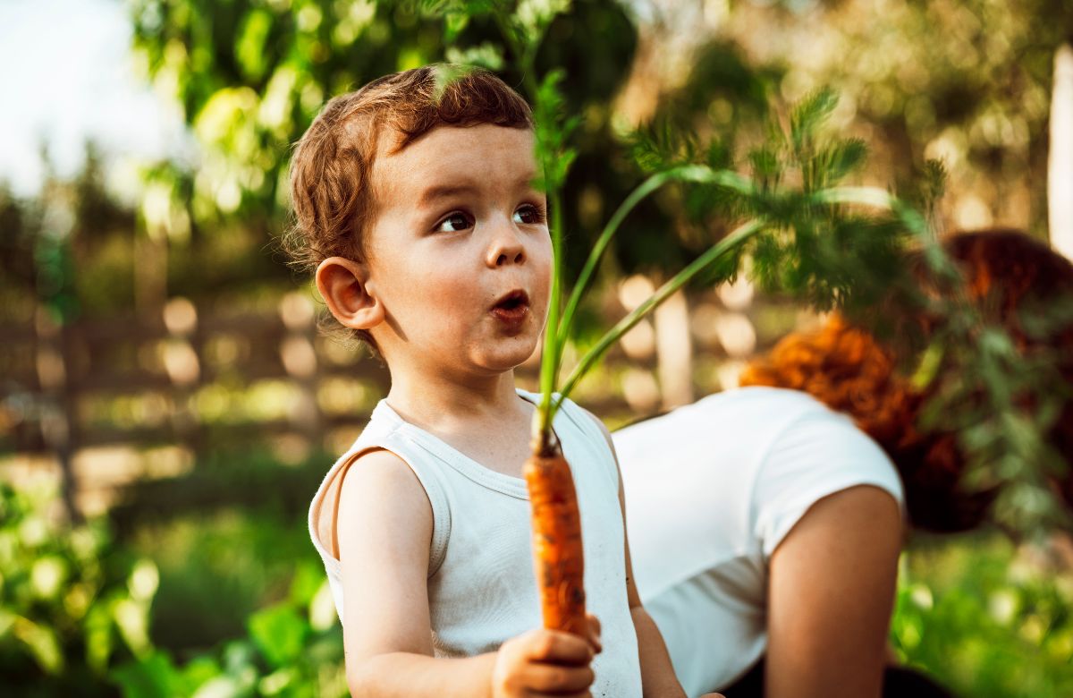 Jardinería: huerto en familia