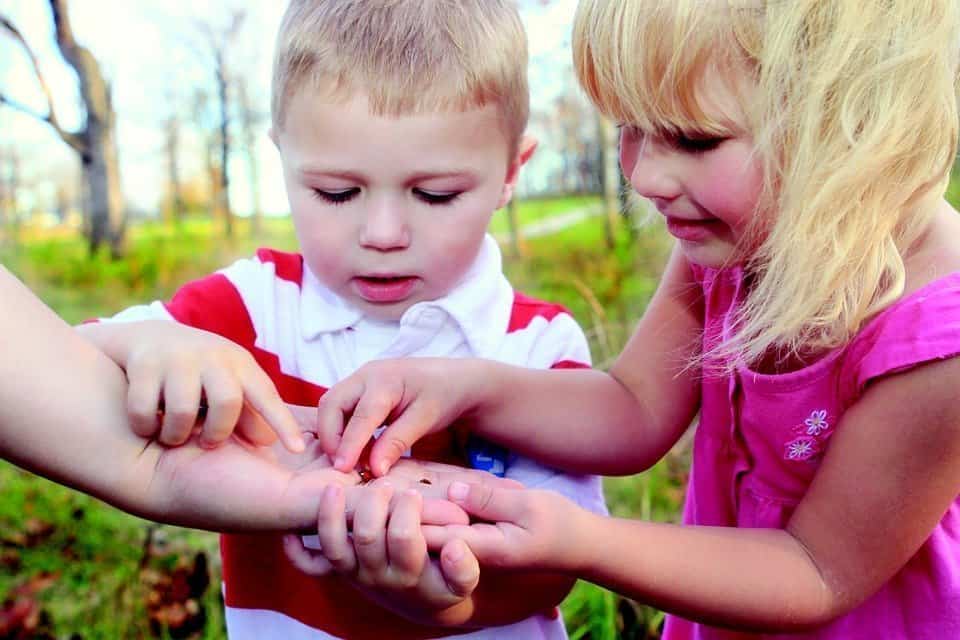 niños buscando insectos