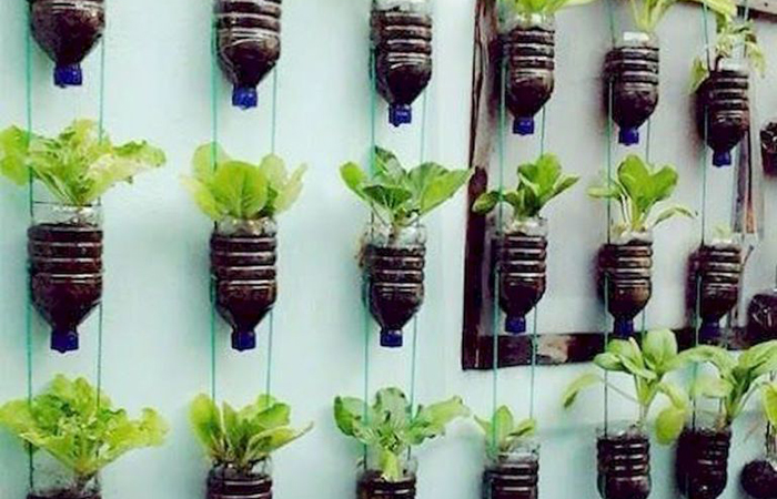 mini huerto con botellas mini huerto con botellas