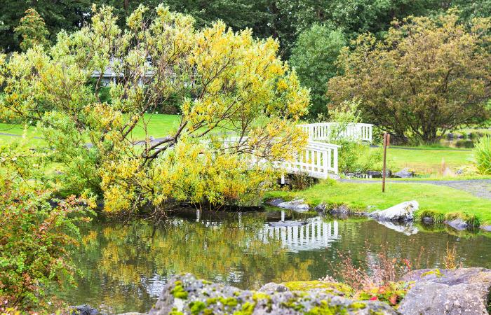 El Parque Laugardalur es la escapada perfecta para disfrutar de la naturaleza Parque Laugardalur en la capital de islandia