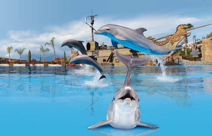 Show delfines Show delfines Mundomar