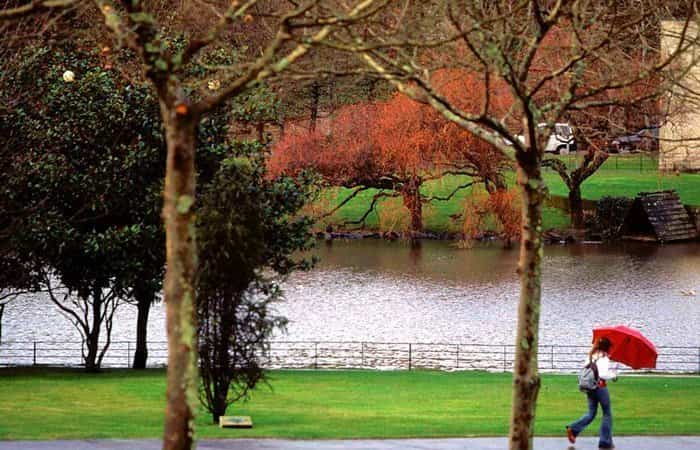 Parque de la Música en Santiago de Compostela, A Coruña