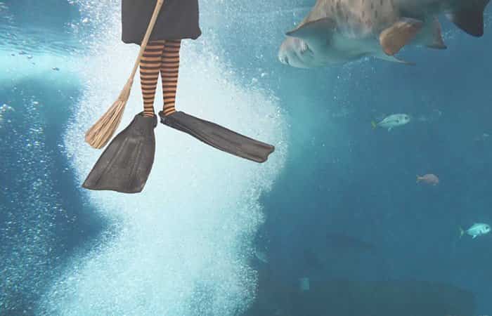 El Acuario de Sevilla celebra Halloween bajo el mar