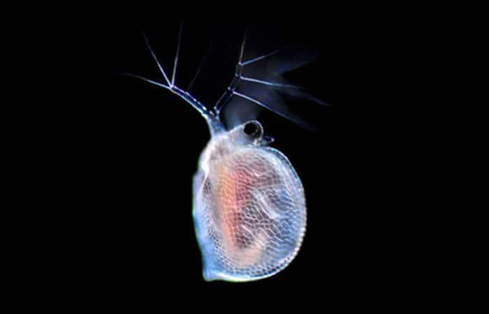 La vida oculta del agua