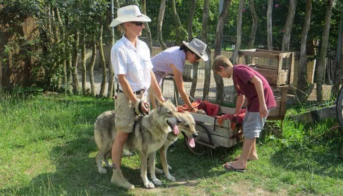 Burdeos con niños granja 2 Burdeos con niños granja 2