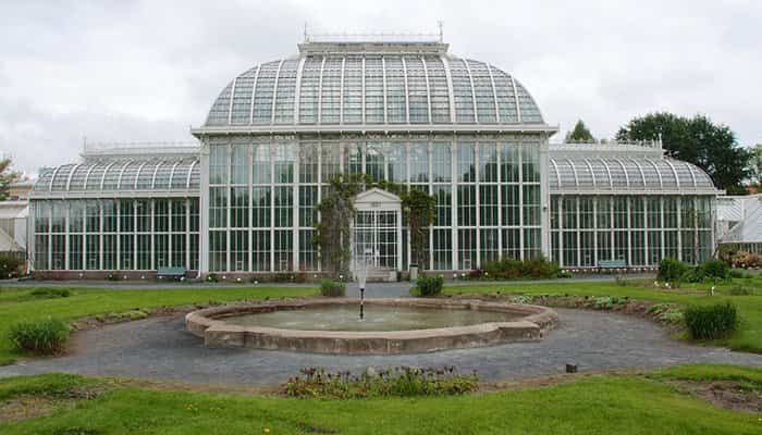 Helsinki con niños botánico Helsinki con niños botánico
