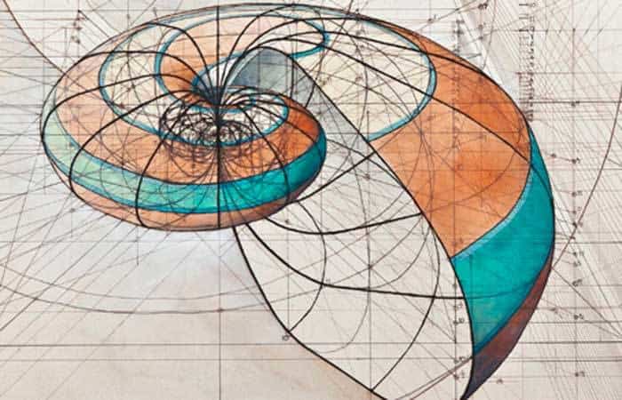 La geometría en la naturaleza. El número áureo phi