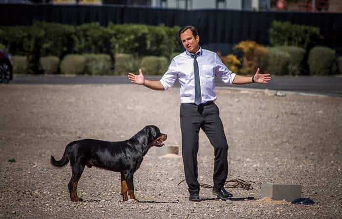 Superagente Canino
