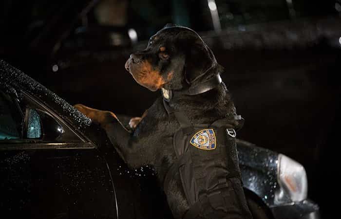 Superagente Canino