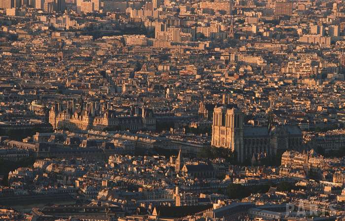 apicultura en París apicultura en París