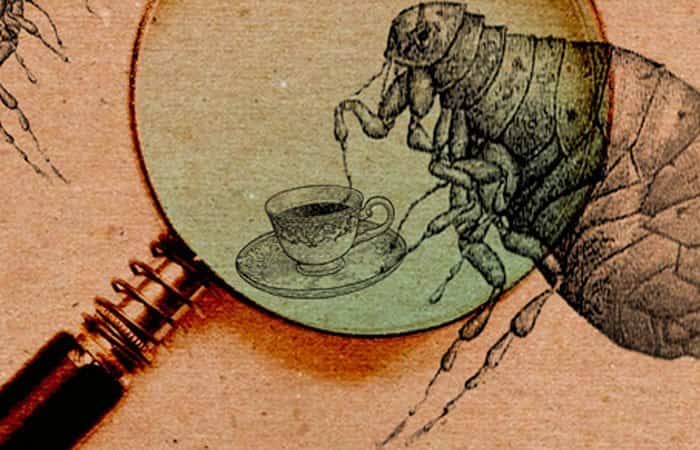 Compañeros de piso. La biodiversidad doméstica