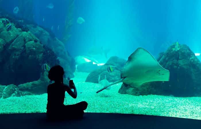 Oceanario de Lisboa Oceanario de Lisboa en Portugal