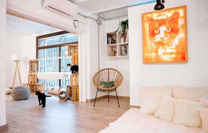 Cat House de Suara Foundation