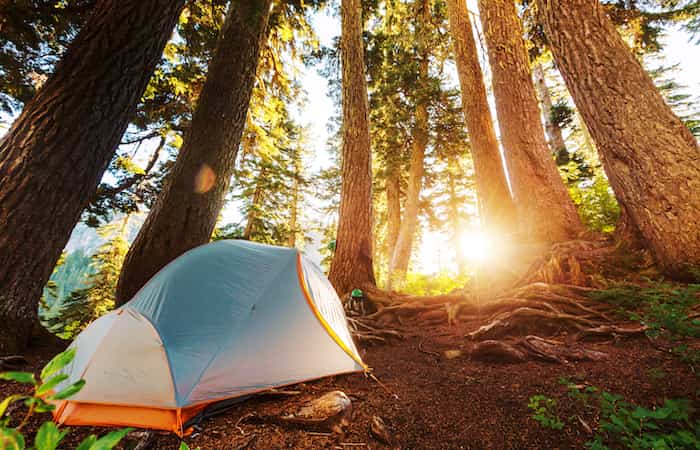 Camping en familia planes para 2021